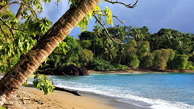 Travel Guide Drake Bay Costa Rica