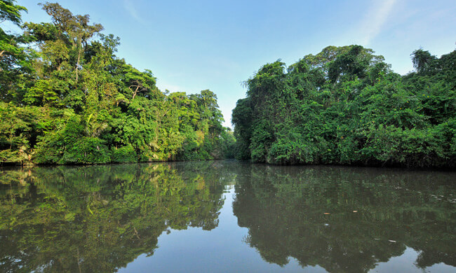  coasta Caraibelor