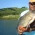 Arenal Lake Sportfishing - ranibow bass