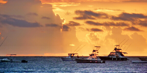 Tamarindo Sportfishing